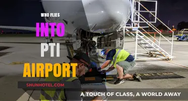 Discovering Airlines and Travelers Using PTI Airport: A Comprehensive Guide