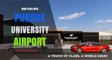Who Uses Purdue University Airport? Exploring Its Visitors and Traffic