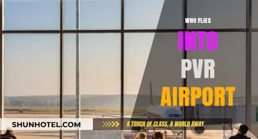 Who Flies into PVR Airport? Top Airlines and Destinations