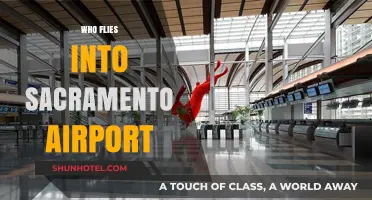 Discover Airlines and Travelers Using Sacramento International Airport Daily