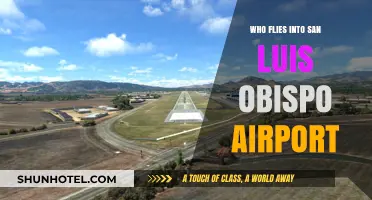Who Flies into San Luis Obispo Airport: Airlines and Destinations