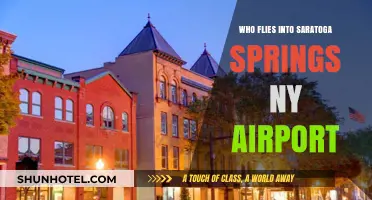 Discovering Saratoga Springs NY Airport's Frequent Flyers and Visitors