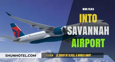 Who Flies into Savannah Airport: Airlines and Routes Explained