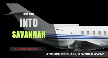 Who Flies into Savannah? Airlines, Routes, and Travel Tips