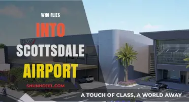 Who Uses Scottsdale Airport? Exploring Its Diverse Flyers and Traffic