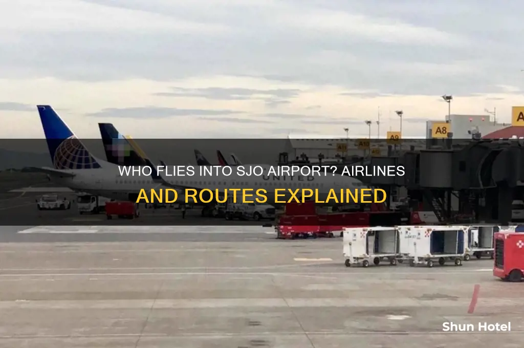 who flies into sjo airport