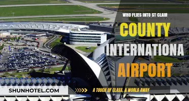 Discovering Travelers: Who Flies into St. Clair County International Airport?