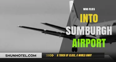 Discovering Sumburgh Airport: Airlines and Travelers Landing in Shetland