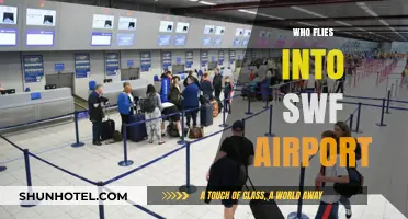Who Flies into SWF Airport? Airlines, Destinations, and Passenger Insights