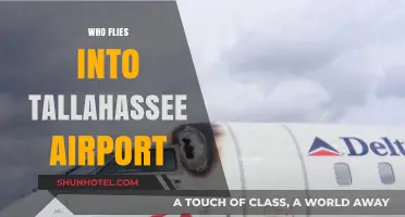 Who Flies into Tallahassee Airport: Airlines, Routes, and Passenger Insights