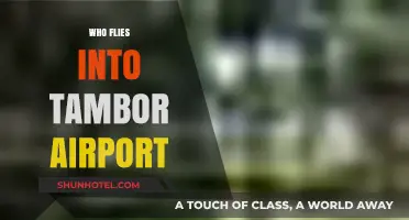 Discovering Travelers: Who Flies into Tambor Airport Regularly?