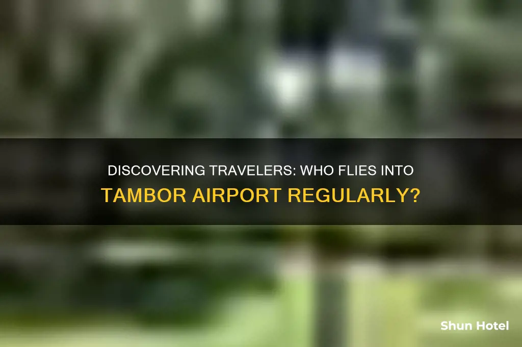 who flies into tambor airport