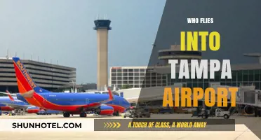 Discovering Airlines and Travelers Heading to Tampa International Airport
