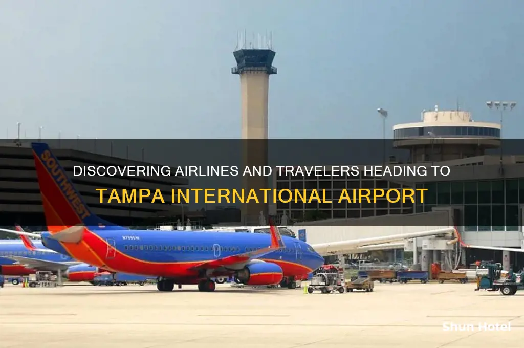who flies into tampa airport
