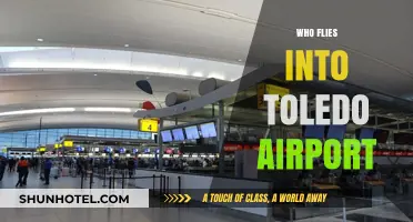 Discovering Toledo Airport's Key Airlines and Passenger Traffic Insights