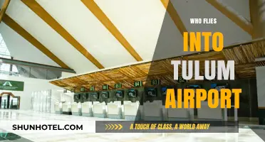 Discovering Tulum Airport: Who Flies In and Out?