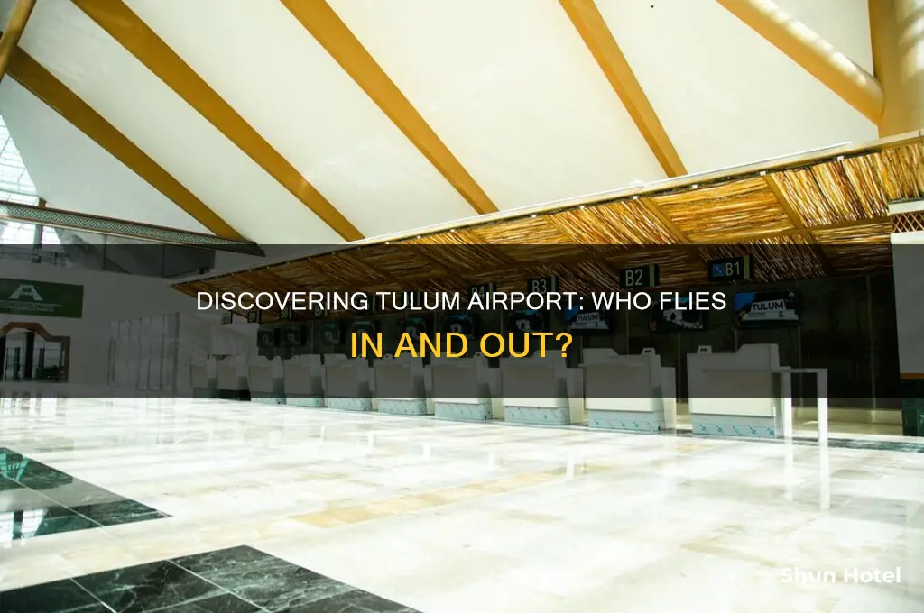 who flies into tulum airport