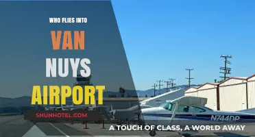 Who Uses Van Nuys Airport? Exploring Its Diverse Flyers and Traffic
