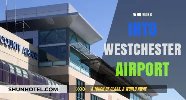 Who Uses Westchester Airport? Airlines, Destinations, and Passenger Insights