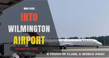 Discovering Airlines and Travelers Using Wilmington Airport: A Comprehensive Guide