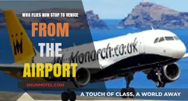 Nonstop Flights to Venice: Which Airlines and Airports Offer Direct Routes?