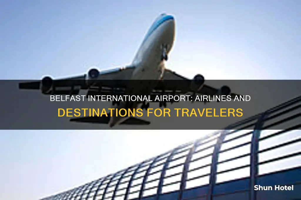 who flies out of belfast international airport
