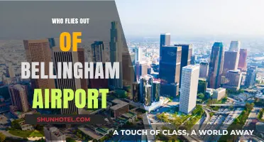 Discover Airlines and Destinations Served by Bellingham Airport