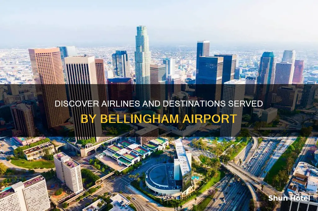 who flies out of bellingham airport