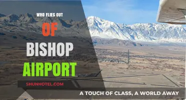 Discover Airlines and Destinations Served by Bishop Airport