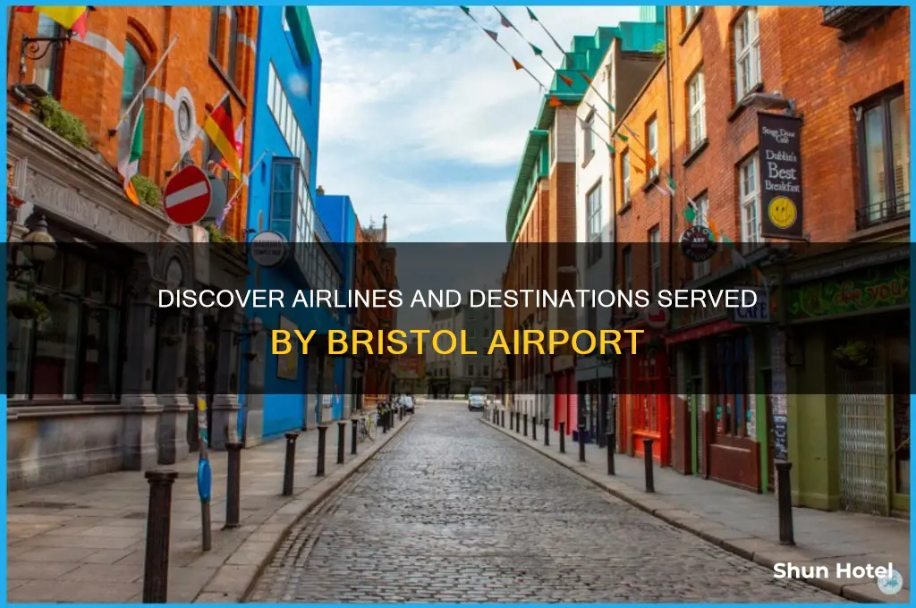 who flies out of bristol airport