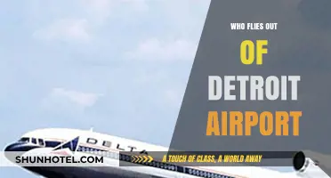 Detroit Airport's Top Airlines: Who Flies Out of DTW?
