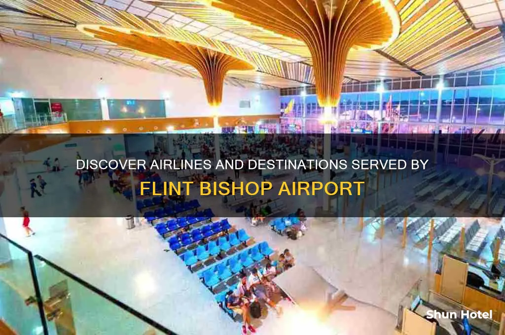 who flies out of flint bishop airport