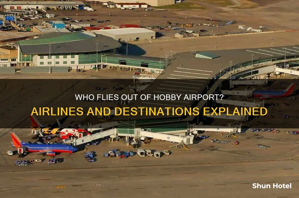 who flies out of hobby airport