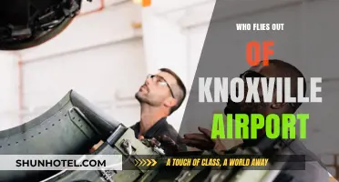 Knoxville Airport's Airlines: Who Flies Out of TYS?