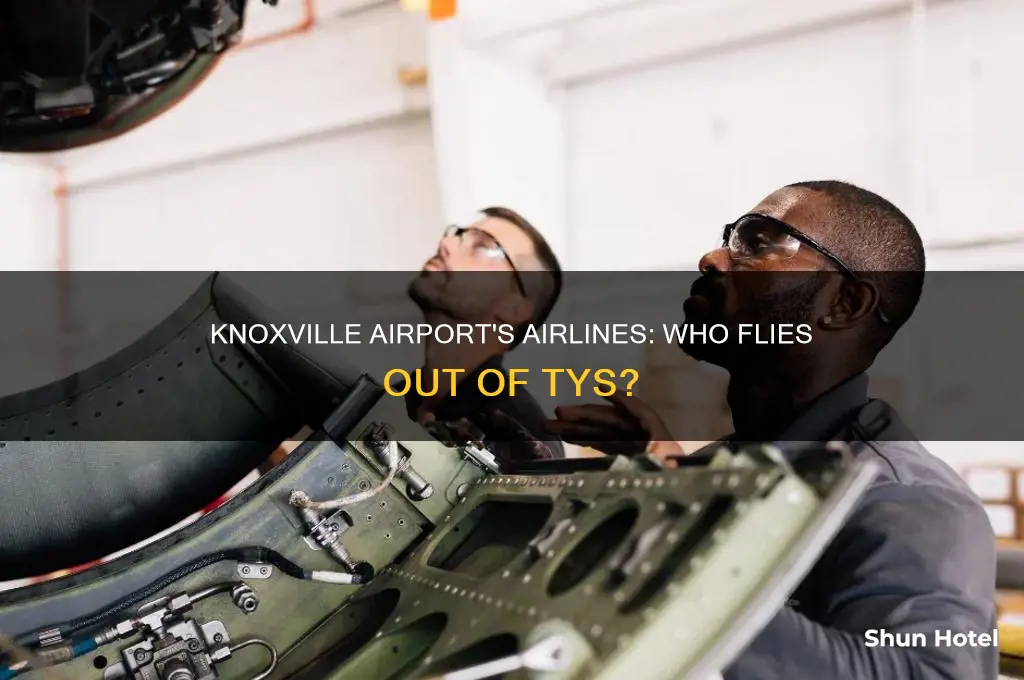 who flies out of knoxville airport