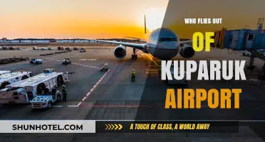 Who Uses Kuparuk Airport? Exploring Its Key Operators and Flights