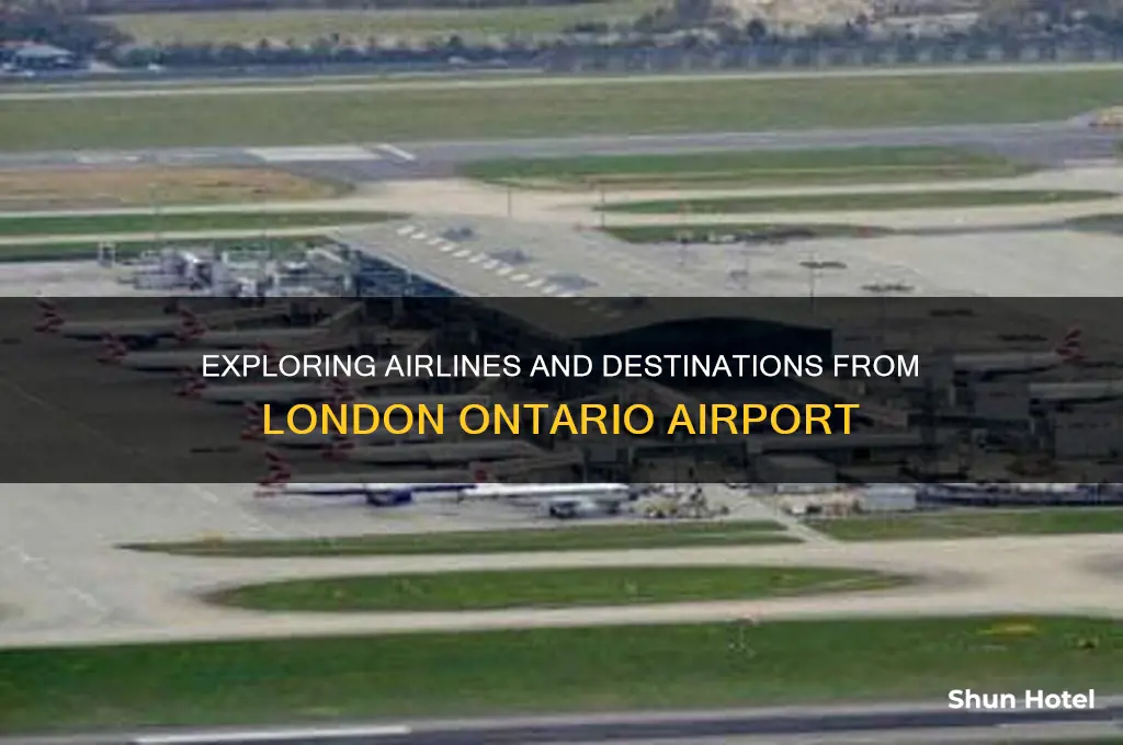 who flies out of london ontario airport