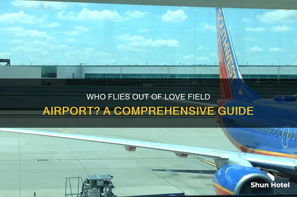 who flies out of love field airport