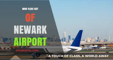 Airlines and Destinations: Who Flies Out of Newark Airport?
