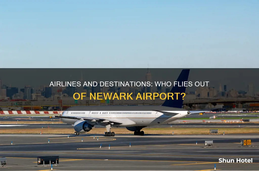 who flies out of newark airport