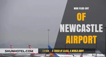 Discover Airlines and Destinations Served by Newcastle Airport