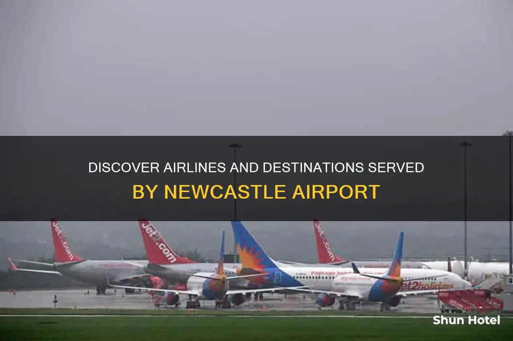 who flies out of newcastle airport