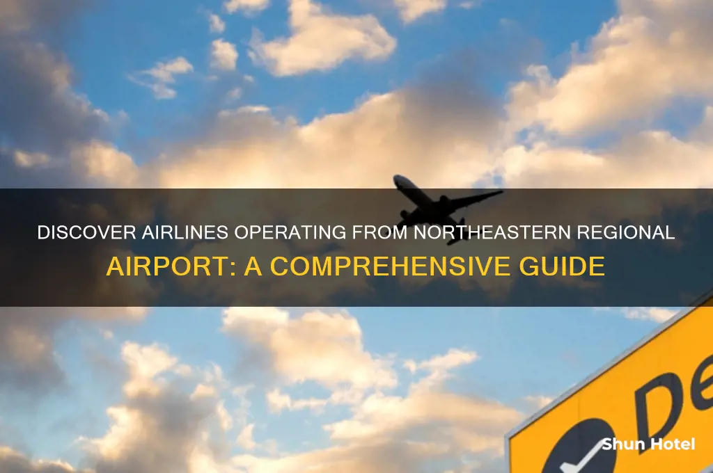 who flies out of northeaster regional airport