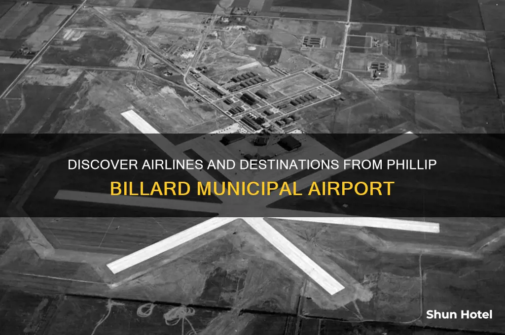 who flies out of phillip golesn airport
