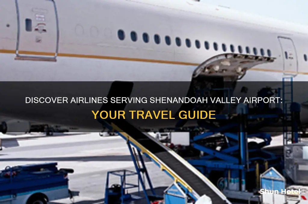 who flies out of shenandoah valley airport
