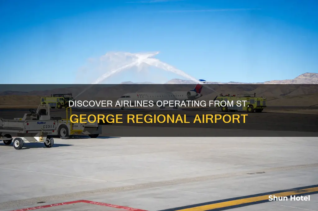 who flies out of st george airport