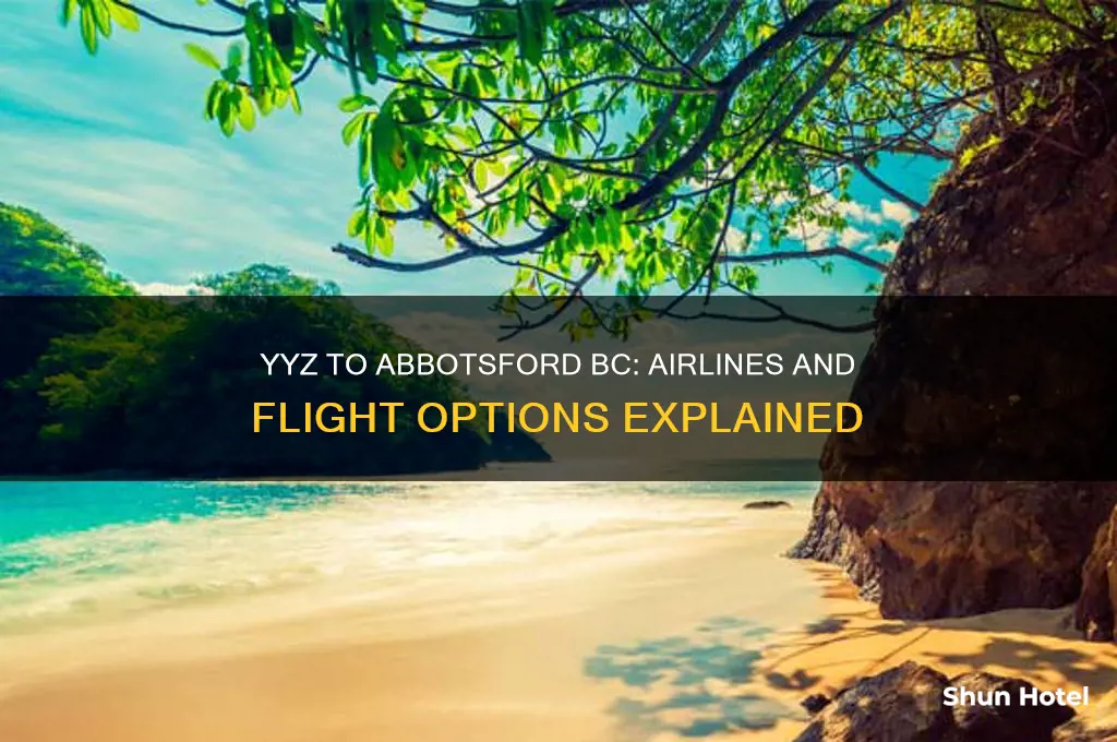 who flies to abbotsford bc from yyz airport