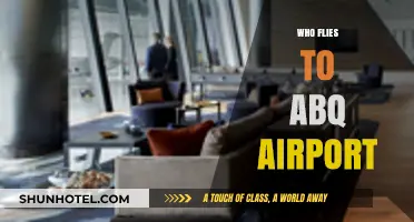 Who Flies to ABQ Airport? Exploring Albuquerque's Air Travelers