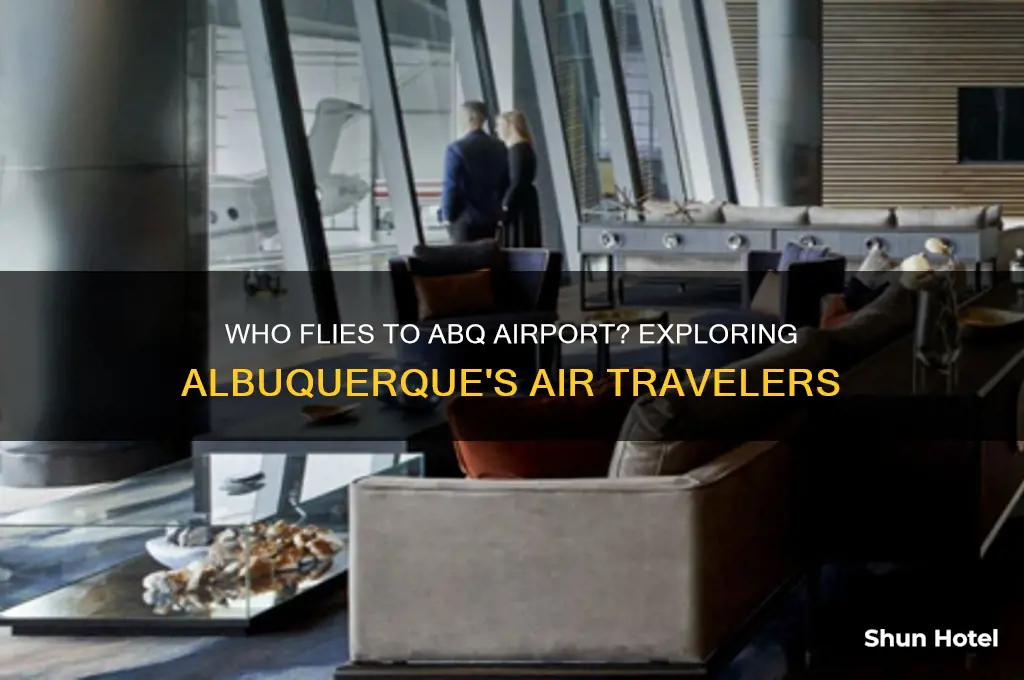 who flies to abq airport