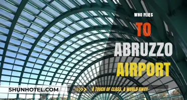 Discovering Abruzzo: Who Flies to Its Airport and Why